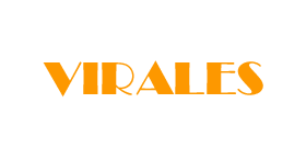 logo ideas regalo virales logo ideas regalo virales